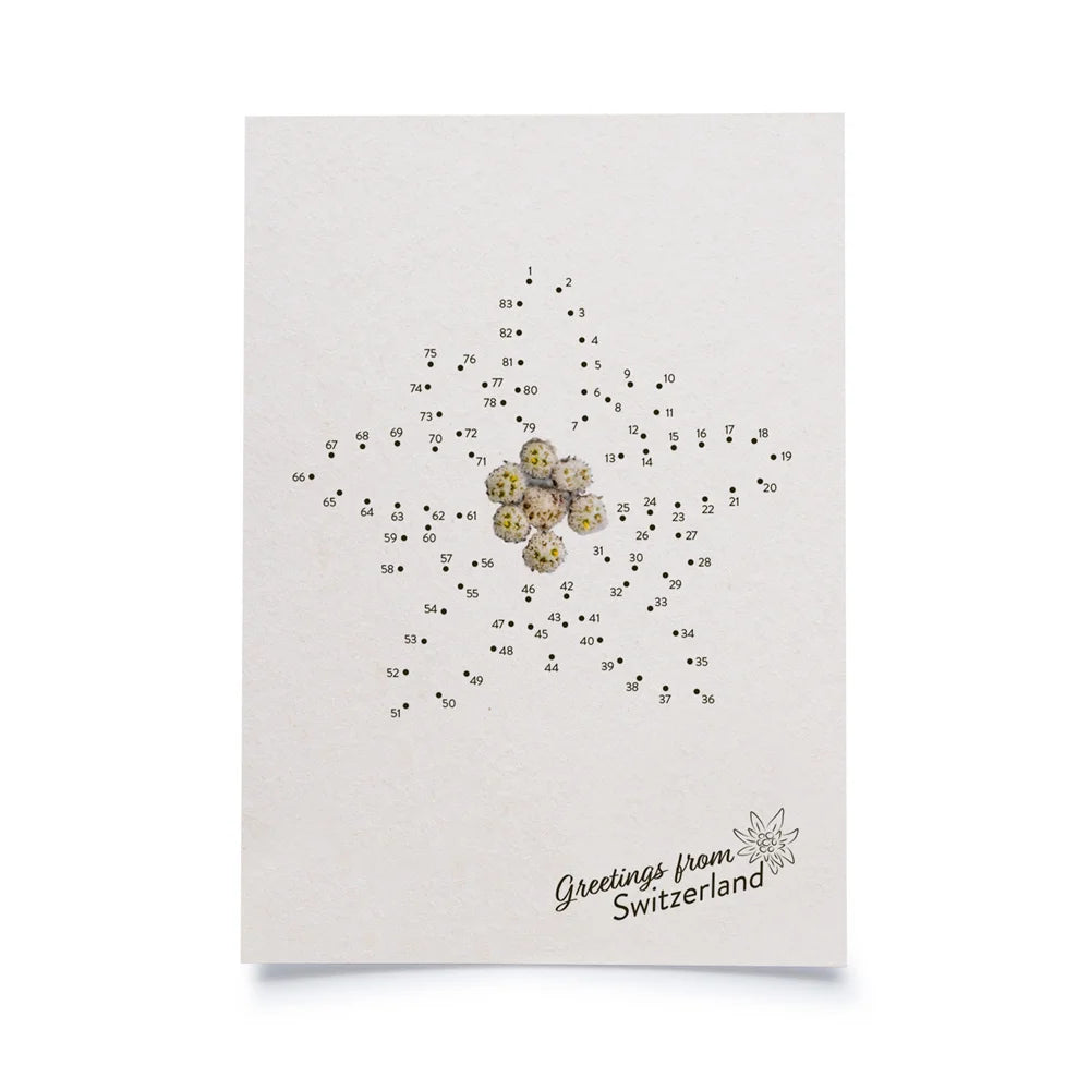 Postkarte weiss mit Malen nach Zahlen Motiv Edeweiss, in unterer rechter Ecke Schriftzug Greetings from Switzerland