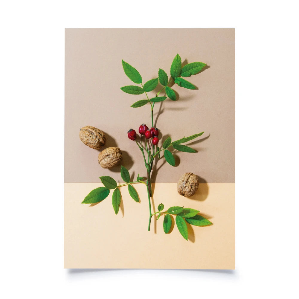 Postkarte mit Farbflächen in beige und creme als Hintergrund, davor 3 Walnüsse, grüne Zweige und ein Hagebuttenzweig