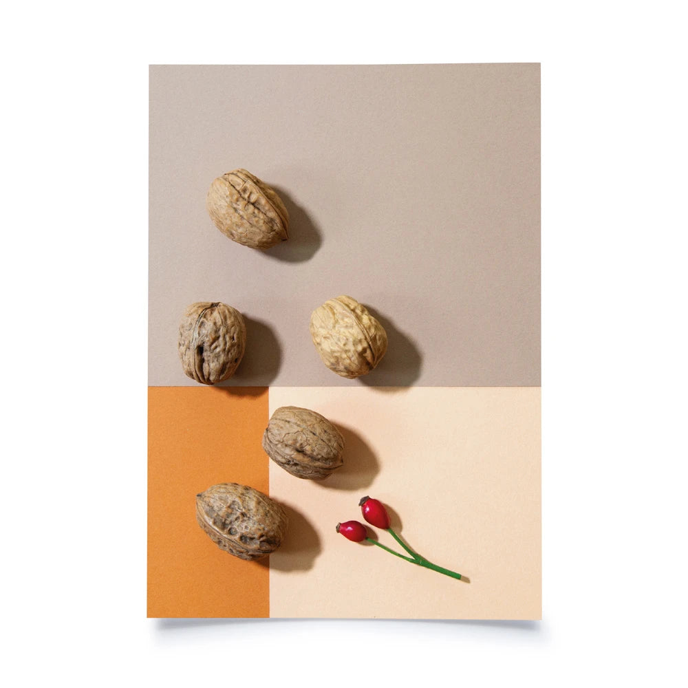 Postkarte mit Farbflächen in beige, creme und orange als Hintergrund, davor 5 Walnüsse und ein Hagebuttenzweig