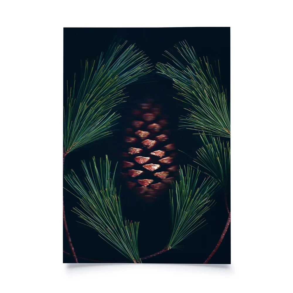 Postkarte mit gescantem Bild:Tannenzweige und mittendrin ein Tannzapfen