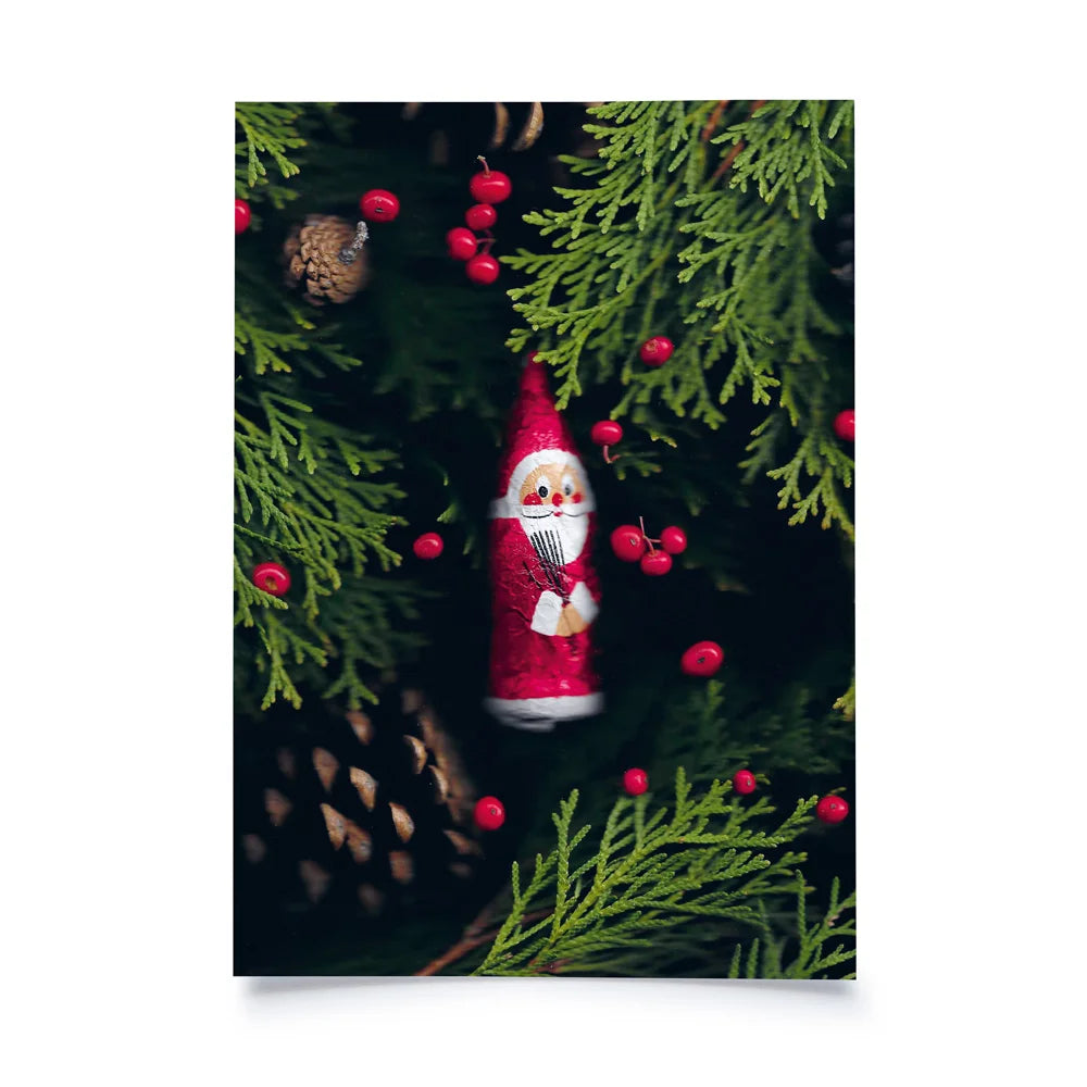 Postkarte mit gescantem Bild: Schokosamichlaus, Thuyazweige und Winterbeeren