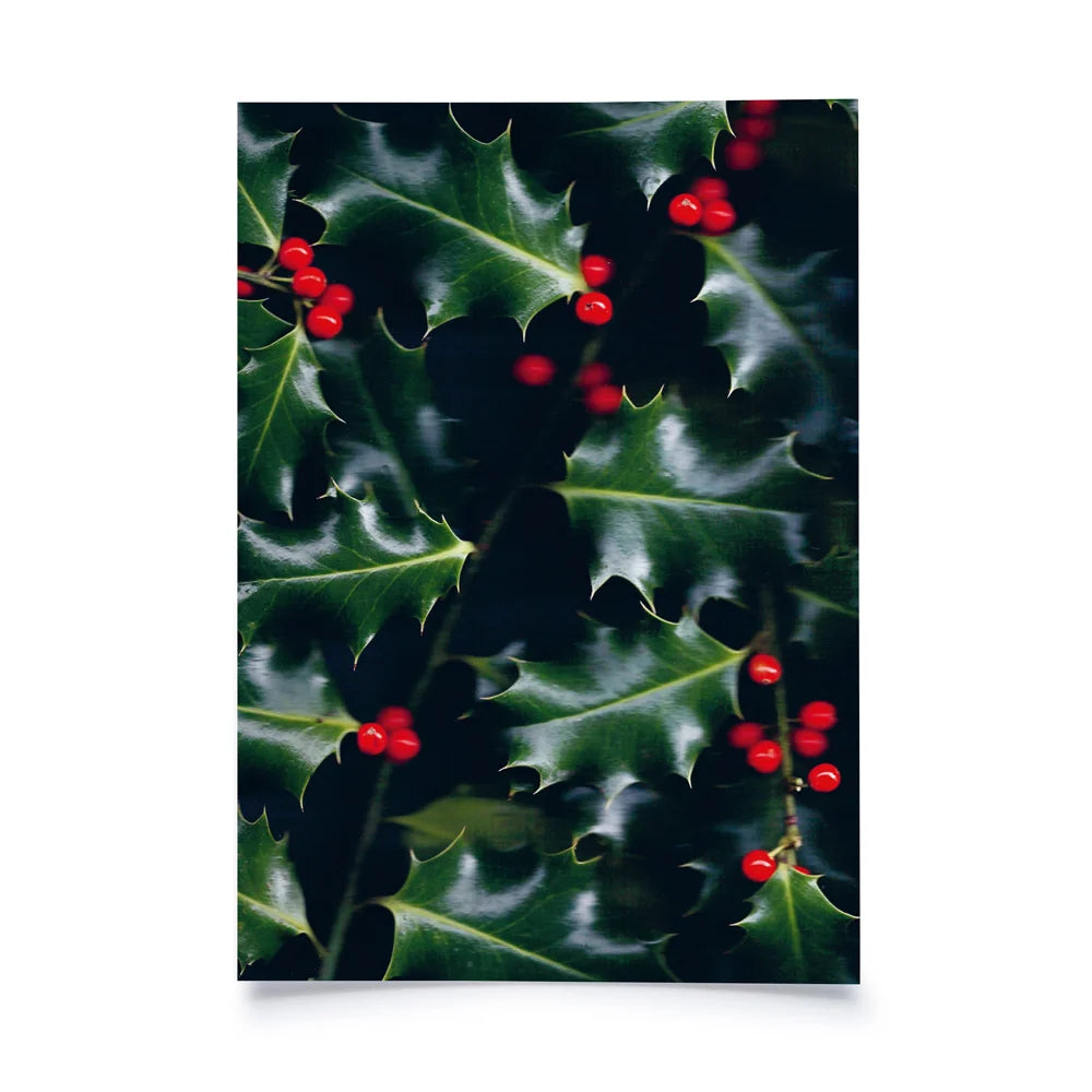Postkarte mit gescantem Bild: Stechpalmenblätter und Beeren
