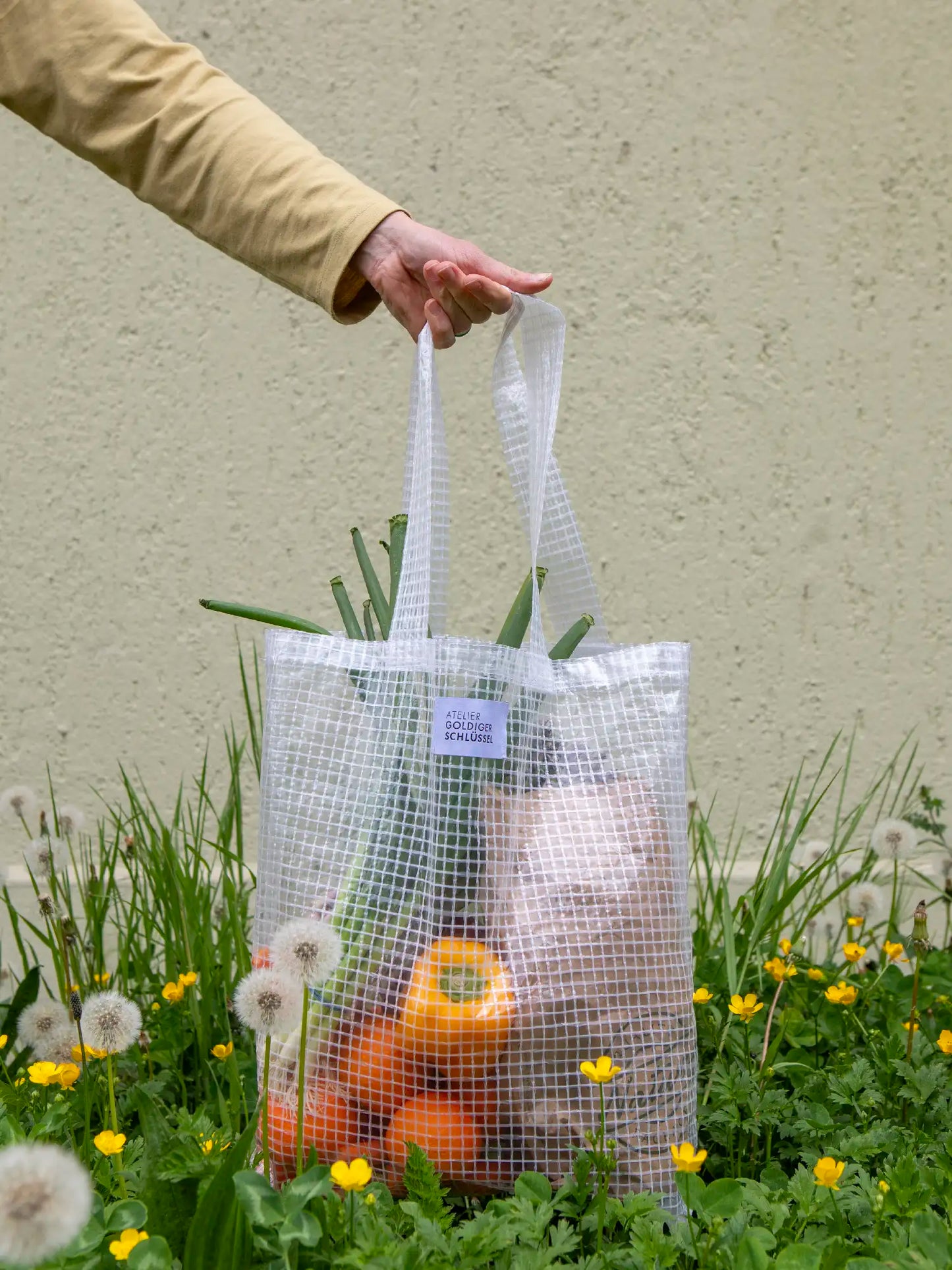 Hand hält von links einen Shopper aus einem Kunststoffmaterial mit Gittermuster ins Bild. Die Tasche ist gefüllt mit Peperonis, Orangen und Lauch. Am untern Bildrand sieht man eine grüne Wiese mit gelben Blumen und verbühten Löwenzahnblumen.